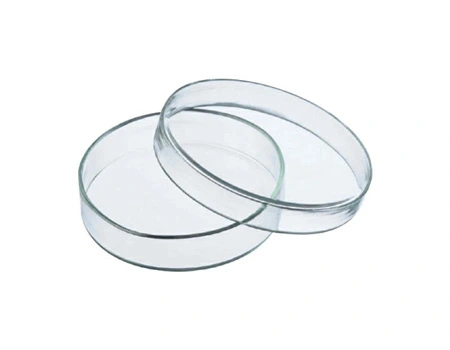 Gambar Cawan Petri - Alat Laboratorium